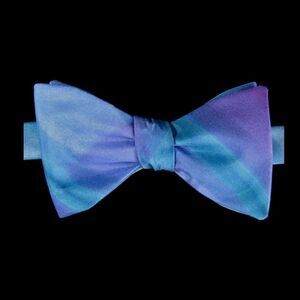 Antrim Street Studio silk bow tie